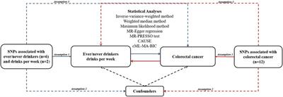 Alcohol consumption and colorectal cancer risk: A mendelian randomization study